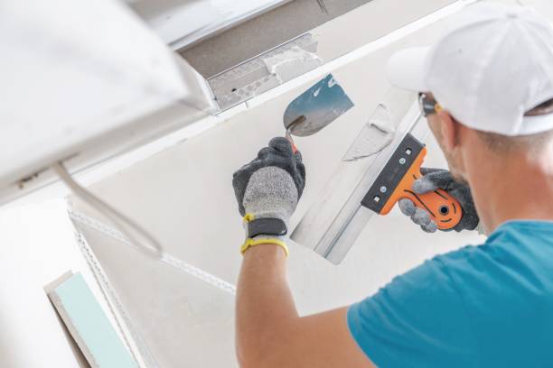 Best Water-Damaged Drywall Repair  in Bolinas, CA